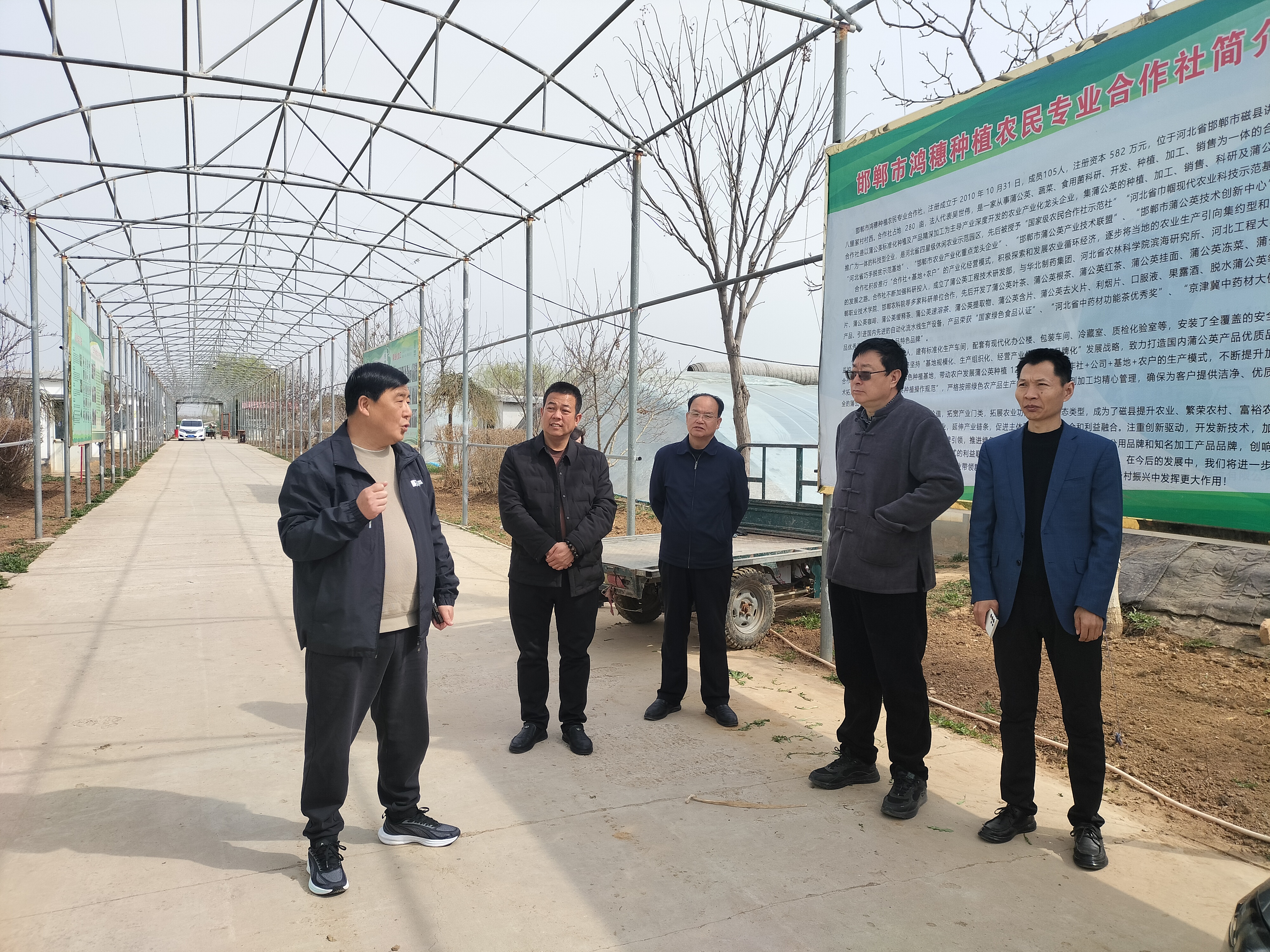 中媒企業文化發展工作委員會一行到河北蒲公英產業基地調研