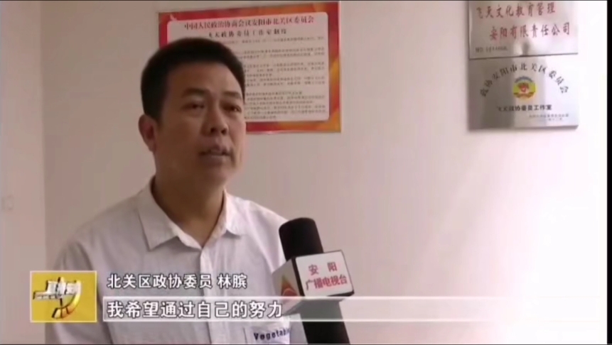 中大視界文化傳媒產業（北京）有限公司董事會主席、央大視界網總編、政協常委林臏接受記者采訪